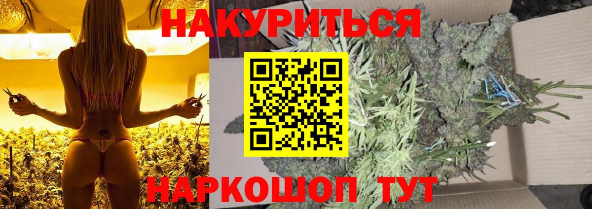 Канабис сатива Дзержинский